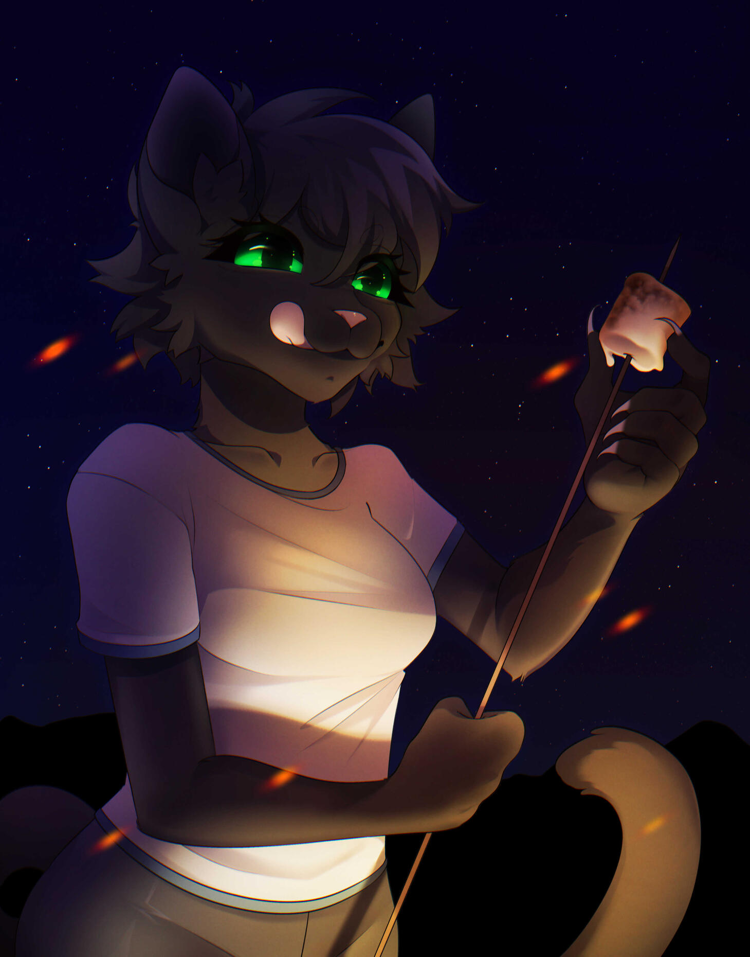 cat cat